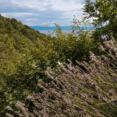 Awesome In With House A Panoramic View Apartman *