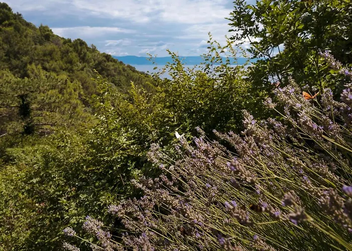 Awesome In With House A Panoramic View Apartman *